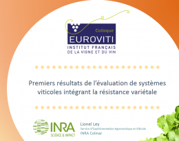 Visuel présentation