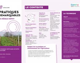  Pratiques Remarquables: Témoignage Nicolas ROUX sur les Engrais Verts en viticulture bio