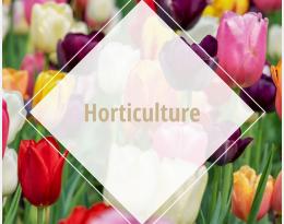 horti
