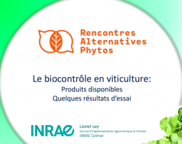Le biocontrôle en viticulture