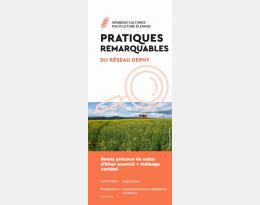 Colza associé_Fiche pratique remarquable