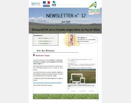 Newsletter_n12