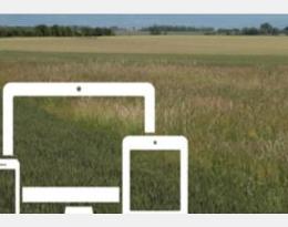 Webinaire résultats technico économiques du groupe