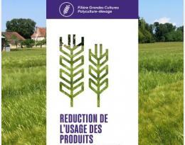Stratégies réduction phytos DEPHY GCPE
