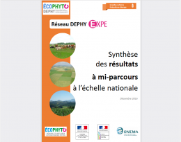 Visuel synthèse EXPE grandes cultures