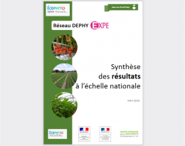 Visuel synthèse EXPE légumes