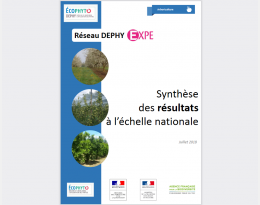 Visuel synthèse EXPE arbo