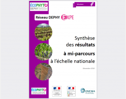 Visuel synthèse EXPE viticulture