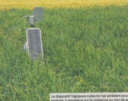 Article presse 2020 rallye échalote paysan breton