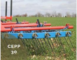 cepp 30