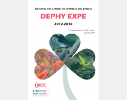 Visuel brochure résumés articles synthèse projets EXPE