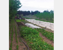 Maquette-fermes-la-durette-bass-def