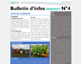 Bulletin info n°4_v2