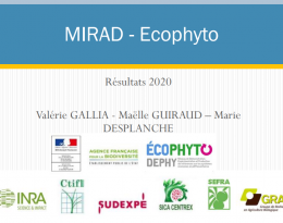 Résultats_SUDEXPE_MIRAD_2020
