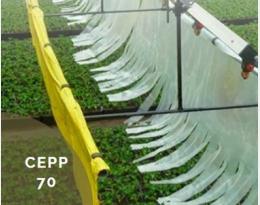 cepp 70