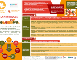 Poster PROPHYLAXIE - RAP 2021 (Rencontres Alternatives Phytos)