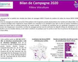 bilan de campagne viticulture 2020