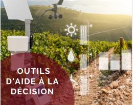 Les Outils d'Aide à la Décision dans la lutte contre le mildiou de la vigne