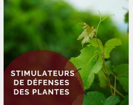 Les Stimulateurs des Défenses des Plantes contre le mildiou de la vigne