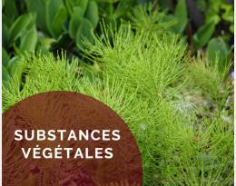 Les Substances Végétales contre le mildiou de la vigne