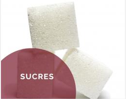 Les Sucres contre le mildiou de la vigne