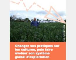 baisse des phytos et passage en bio