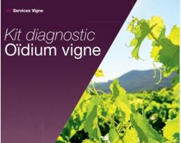 kit oidium bayer
