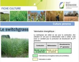 switchgrass rmtb