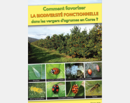 Améliorer la biodiversité fonctionnelle dans les vergers