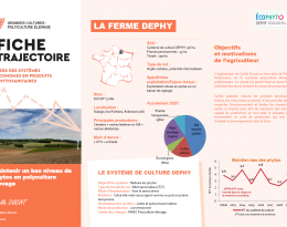 Maintenir un bas niveau de phytos en polyculture-élevage