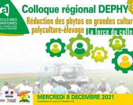 Colloque DEPHY_RES0PEST LUSIGNAN_2021