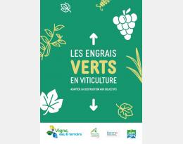 Les engrais verts en viticulture, adapter la destruction aux objectifs
