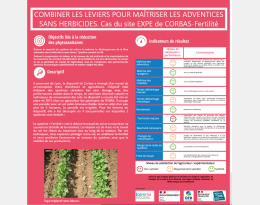 Poster résultats fertilité -Expé Corbas