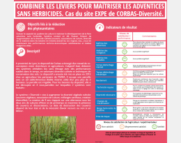 Poster résultats diversité - Expé Corbas