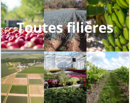 Image toutes filières