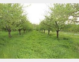 Crédit : verdeterreprod.fr