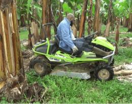 Fauche culture tropicale Crédit : CIRAD