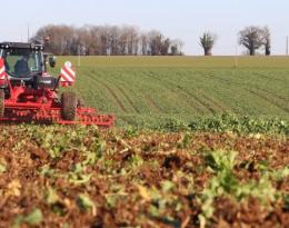 Le déchaumage en alternative à la chimie  Crédit : Entraid'