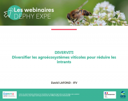 Présentation DIVERVITI