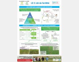 Poster carbone clé de fertilié