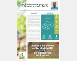 Témoignage alternance cultures