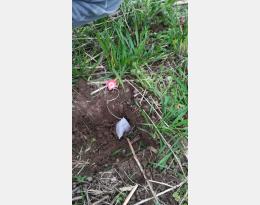 Mise en place des tea bag