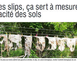 Les slips, ça sert à mesurer l'eficacité des sols