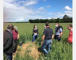 Journée Rencontre Alternatives Phyto