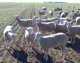 Fiche trajectoire Lycée