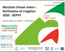 Présentation résultats d'essai melon ferti et irrigation chez un producteur DEPHY en 2020