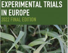 iwmpraise booklet 22