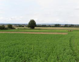 posters présentés lors des JPO de 2022