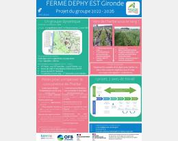 Le projet du groupe en 4 points