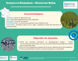 Présentation Cave Coopérative de Buzet sur Baïse